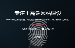 高端網(wǎng)站建設(shè)，高在哪里？武漢建站公司肥貓為您來解析！